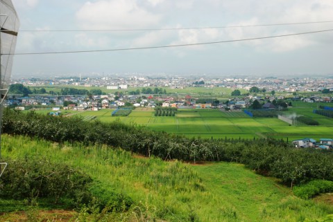 村元さんの園地から黒石が一望