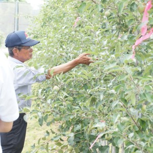 三村さんによる指導